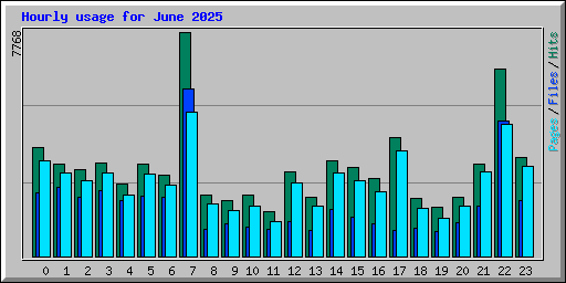 Hourly usage for June 2025