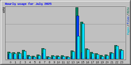 Hourly usage for July 2025