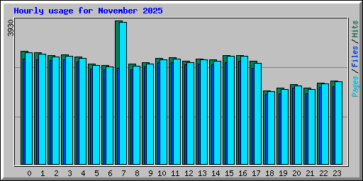 Hourly usage for November 2025