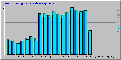 Hourly usage for February 2026